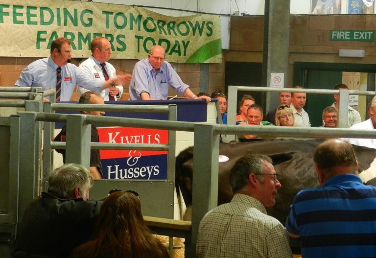End of an era for Devon dairy farmers