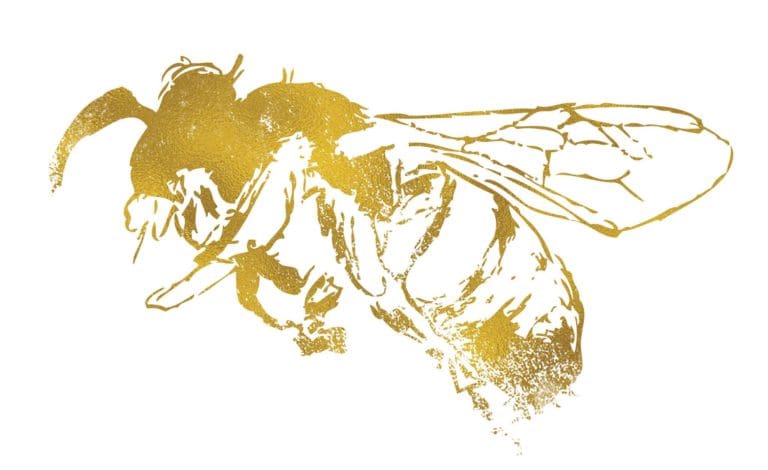 Unique opportunity to join bee project