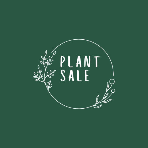 Bratton Clovelly Plant Sale