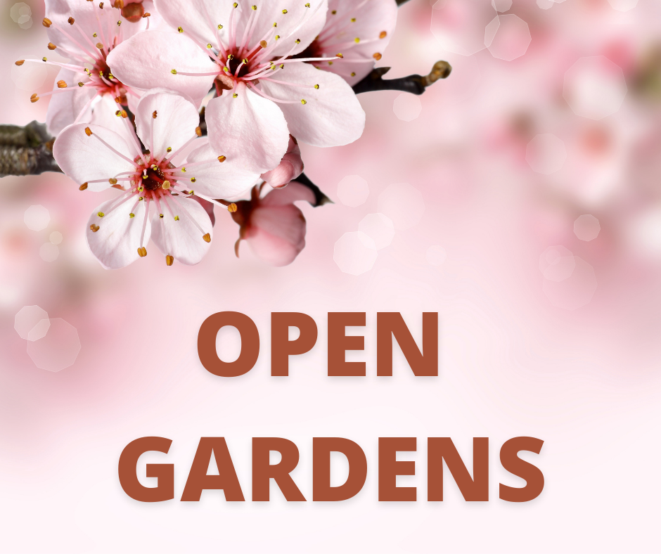 Talaton Open Gardens