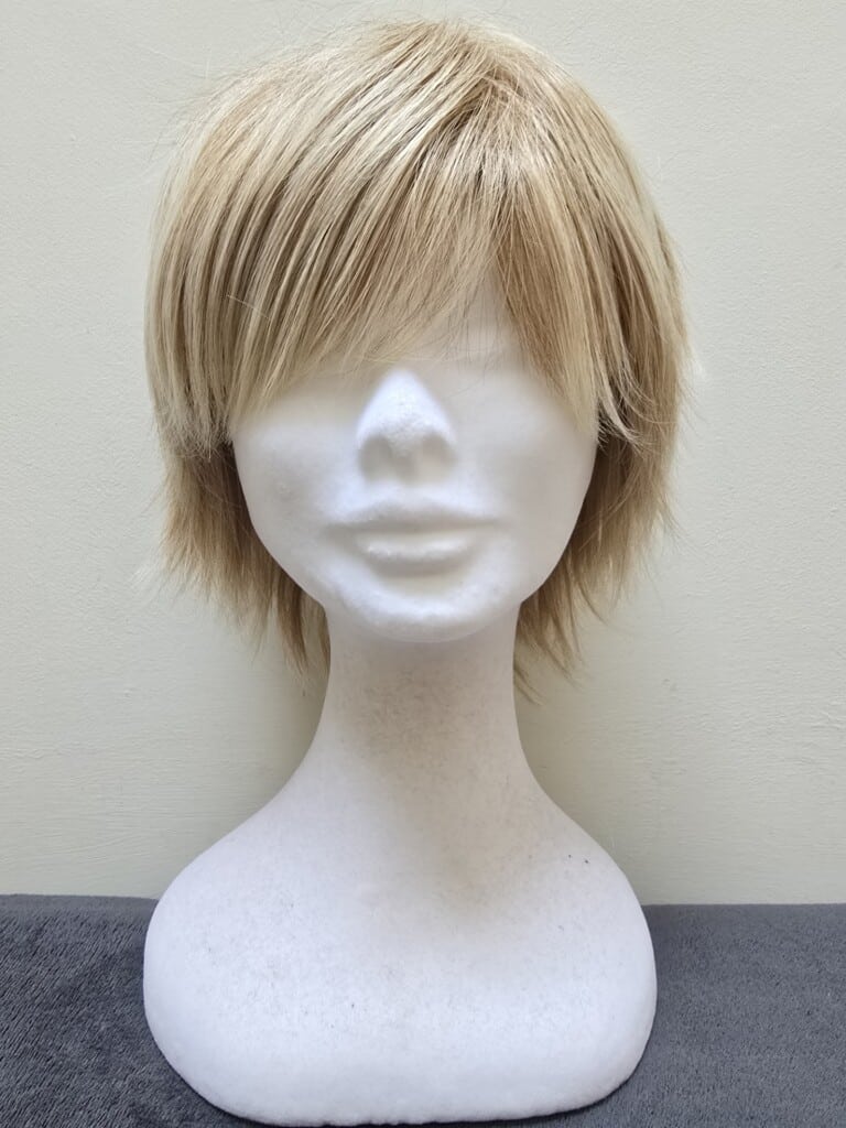 Blonde with a Basic Cap Wig No. 477