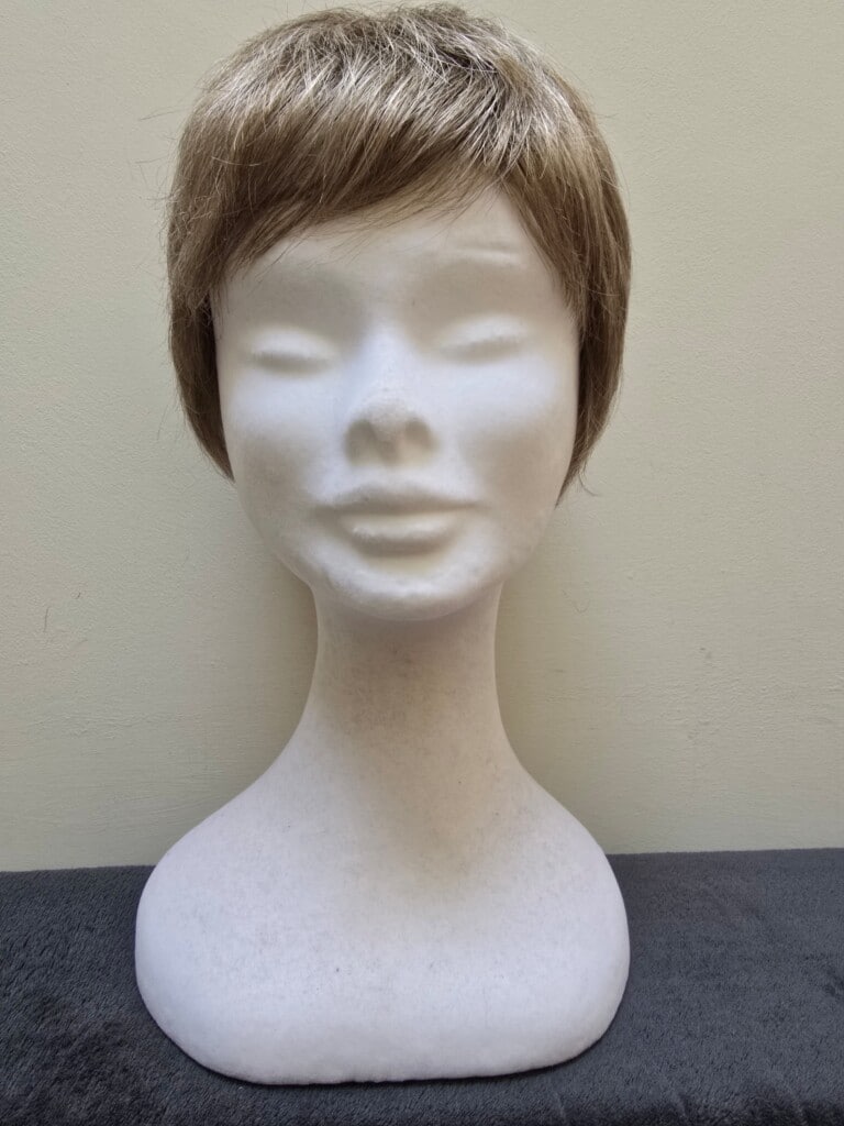 Blonde with a Basic Cap Wig No. 422