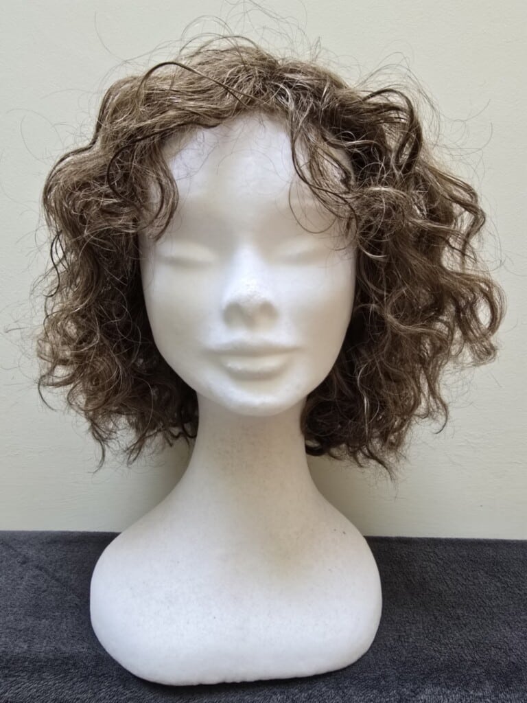 Brown with a Basic Cap Wig No. 484