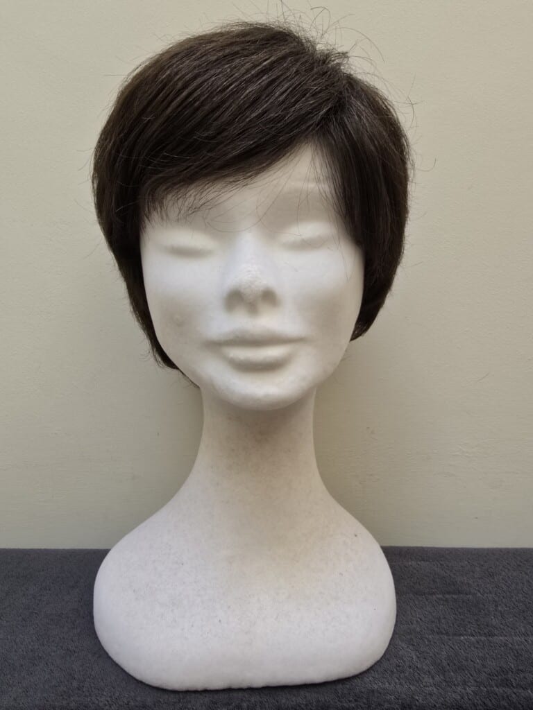 Brown with a Basic Cap Wig No. 517