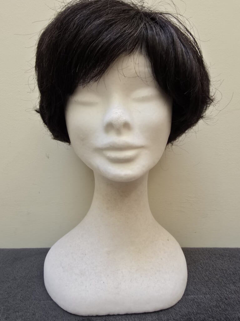 Black with a Basic Cap Wig No. 518