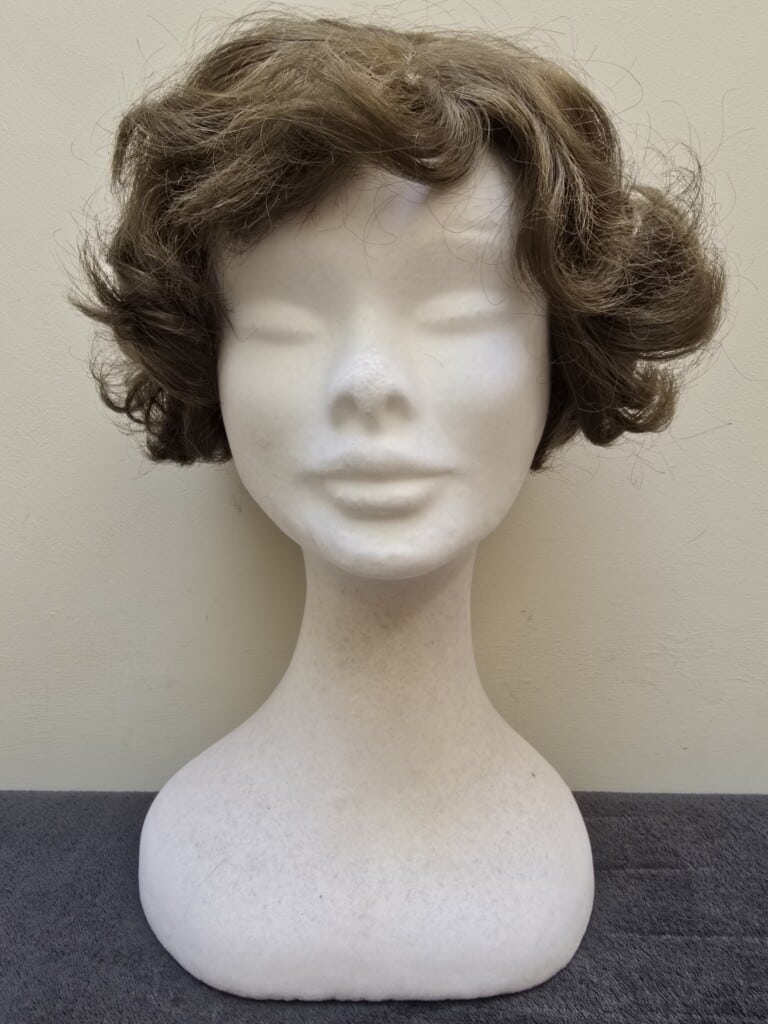 Brown with a Basic Cap Wig No. 519