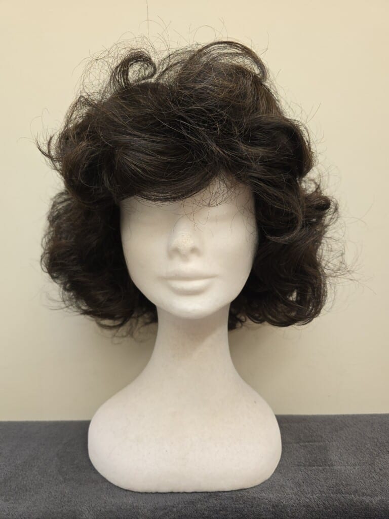 Brown with a Basic Cap Wig No. 526