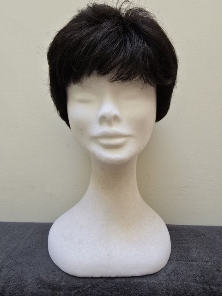 Black with a Basic Cap Wig No. 531
