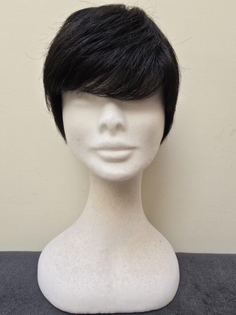 Black with a Basic Cap Wig No. 587
