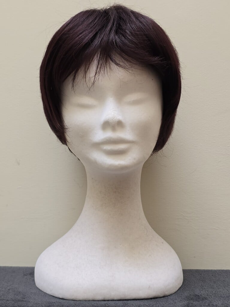 Brown with a Basic Cap Wig No. 609